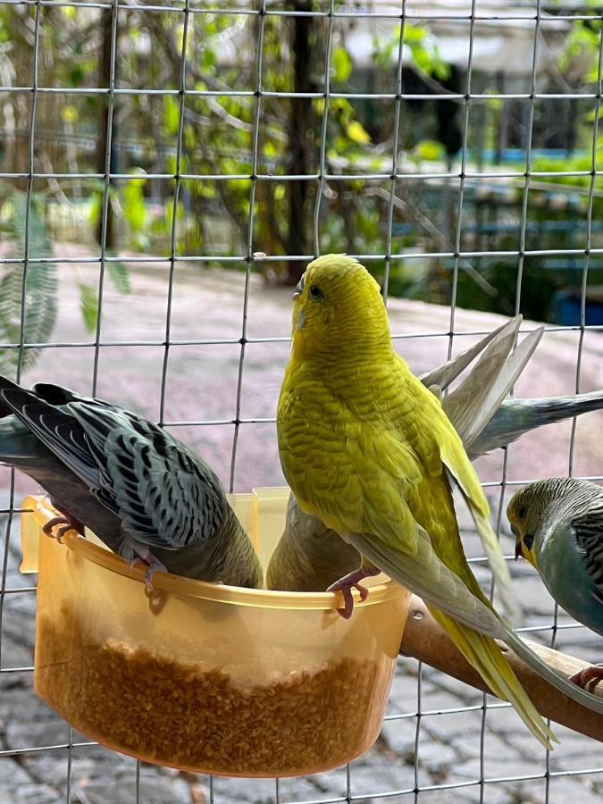 Banana Place Resort Chumphon Zewnętrze zdjęcie